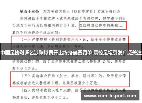 中国足协对多名涉赌球员开出终身禁赛罚单 震惊足坛引发广泛关注