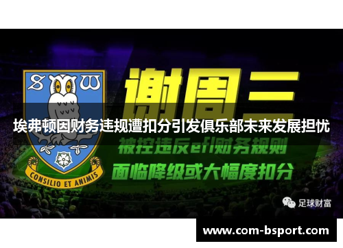 埃弗顿因财务违规遭扣分引发俱乐部未来发展担忧 埃弗顿因财务违规遭扣分引发俱乐部未来发展担忧